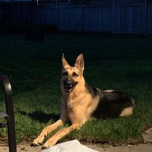 Meet your Posher, Thomas